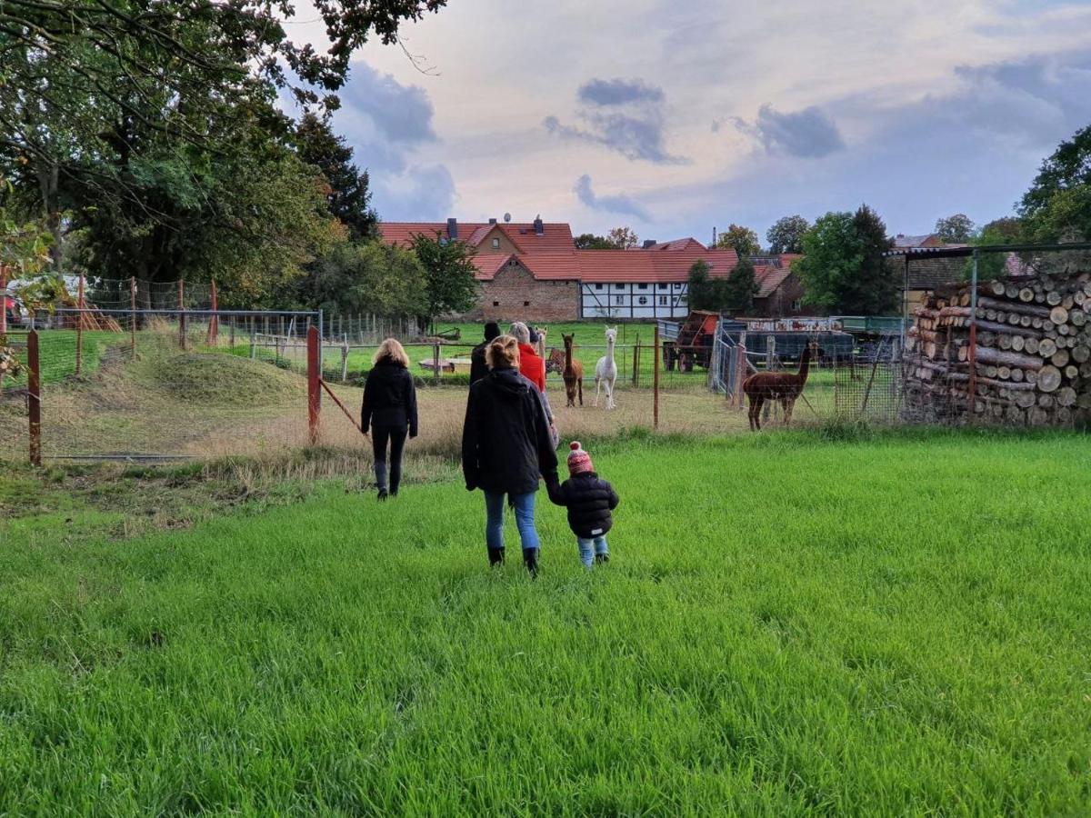 Gelbes Haus Seenland Ferienwohnungen Xl Elsterheide Eksteriør billede